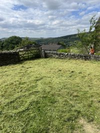 IMG_0078.jpeg