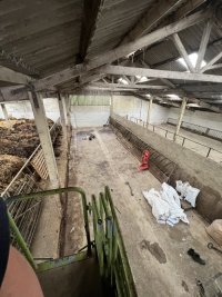 IMG_9843.jpeg