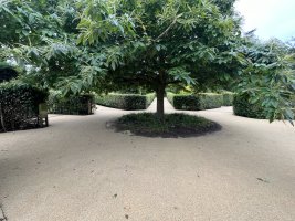 IMG_1048.jpeg