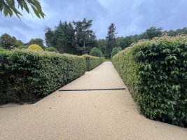 IMG_1044.jpeg