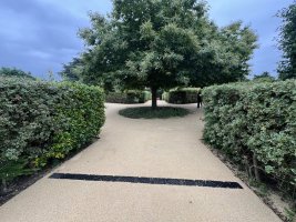 IMG_1038.jpeg