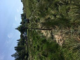 IMG_1870.JPG