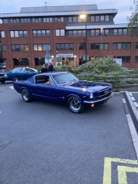 IMG_0470.jpeg