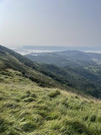 IMG_2195.jpeg