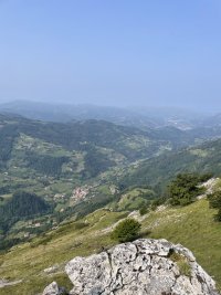 IMG_2209.jpeg