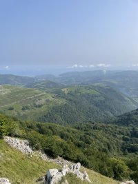 IMG_2207.jpeg