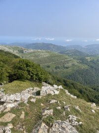 IMG_2204.jpeg