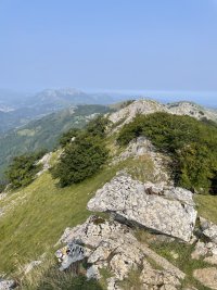 IMG_2203.jpeg