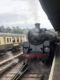 IMG_1618.jpeg