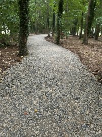 IMG_0543.jpeg