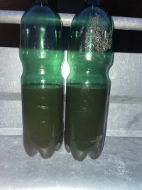 IMG_3847.jpeg
