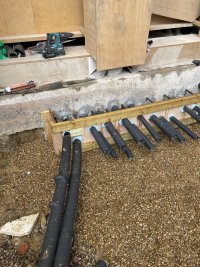 IMG_2499.jpeg