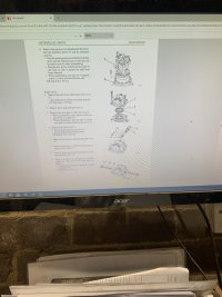 IMG_2943.jpeg