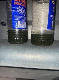 IMG_3896.jpeg