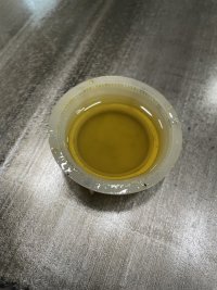 IMG_3920.jpeg