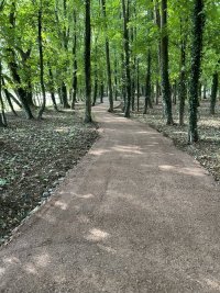IMG_0567.jpeg
