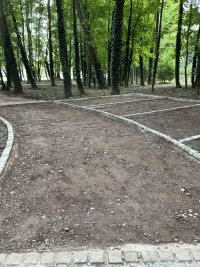 IMG_0565.jpeg