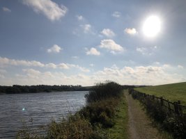 IMG_1908.jpeg