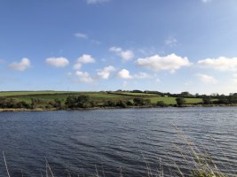 IMG_1909.jpeg