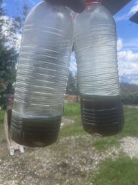 IMG_3979.jpeg