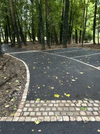IMG_0591.jpeg
