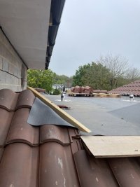 IMG_1024.jpeg