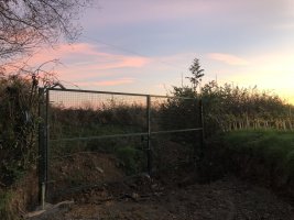 IMG_2238.jpeg