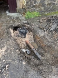 image11.jpeg