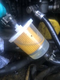 IMG_2432.jpeg