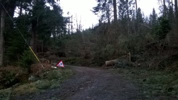 WP_20241231_14_16_54_Pro.jpg