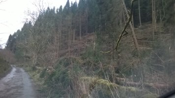 WP_20241231_13_59_08_Pro.jpg