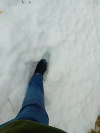 20241231_124057.jpg