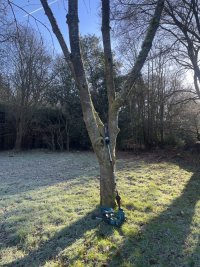 IMG_3120.jpeg