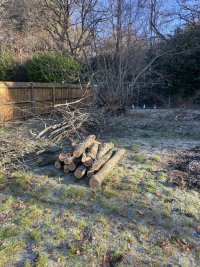 IMG_3123.jpeg