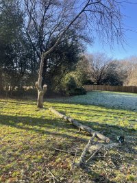 IMG_3124.jpeg