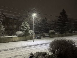 IMG_7370.jpeg
