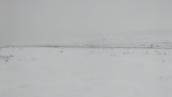 IMG20250108155917.jpg