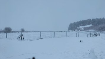 IMG20250108155056.jpg