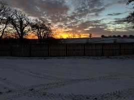 IMG_0705.jpeg