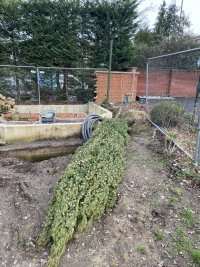 IMG_3415.jpeg