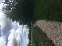 2019-06-05 09.28.16.jpg