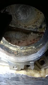 WP_20250309_14_57_27_Pro.jpg