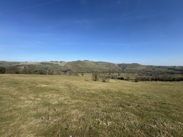 IMG_9905.jpeg