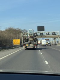 IMG_9919.jpeg