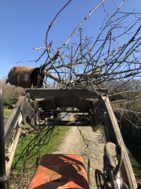 IMG_3308.jpeg
