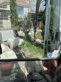 IMG_4067.jpeg