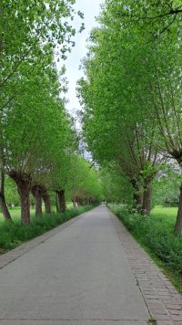 d8d954d5-e880-4eec-ae2e-0d132d6bb2ec.jpeg