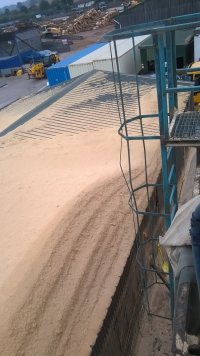 WP_20240920_15_52_51_Pro.jpg