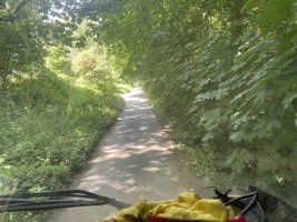 IMG_2207.jpeg IMG_2207.jpeg