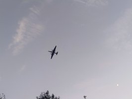 IMG_20250630_214054473_AE.jpg